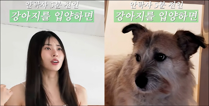 서동주, 안락사 5분 전 유기견 입양 "날 물어뜯을까 봐 겁났다"