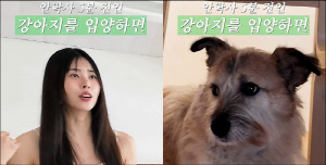 서동주, 안락사 5분 전 유기견 입양 