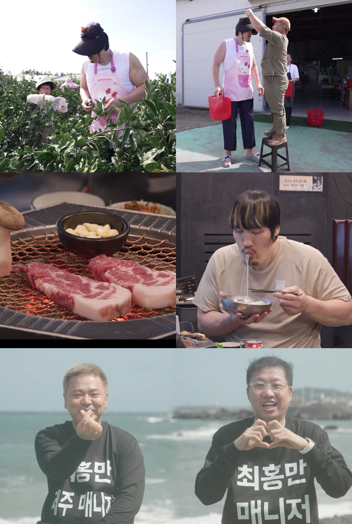 최홍만, 제주 N잡러로 변신…떡집 이어 귤 농장 '알바 도전'
