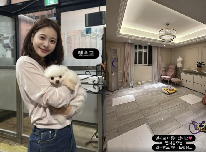 '66억家' 아옳이, 입양한 유기견 위해 초호화 방 내줬다..전용 에어컨…