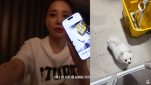 '상간녀 소송 패소' 아옳이, 1년만에 기쁜 소식 전했다 