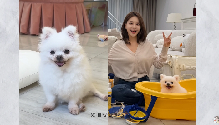 '상간녀 소송 패소' 아옳이, 1년만에 기쁜 소식 전했다 "새 가족이 생…