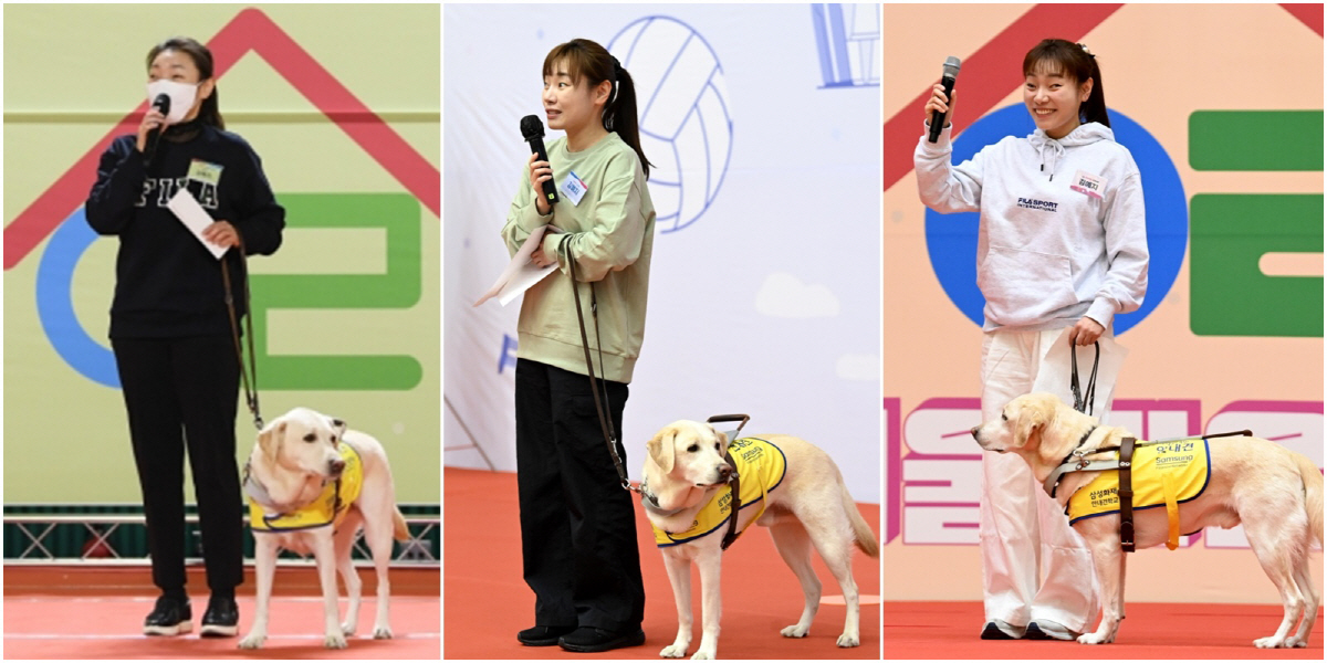 "국민 위해 일한다고 생각하면 두려울것 없죠" '서울림운동회 개근X국회 …