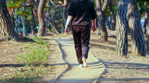 부천시, 올해 시민 건강 위한 '맨발길' 52곳 조성