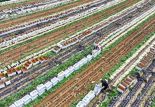 농어촌 기본소득 시범사업에 49개군 신청…경쟁률 8.2대 1