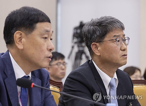 빅테크 '책임 회피' 도마 위…과방위, 강력 제재 주문