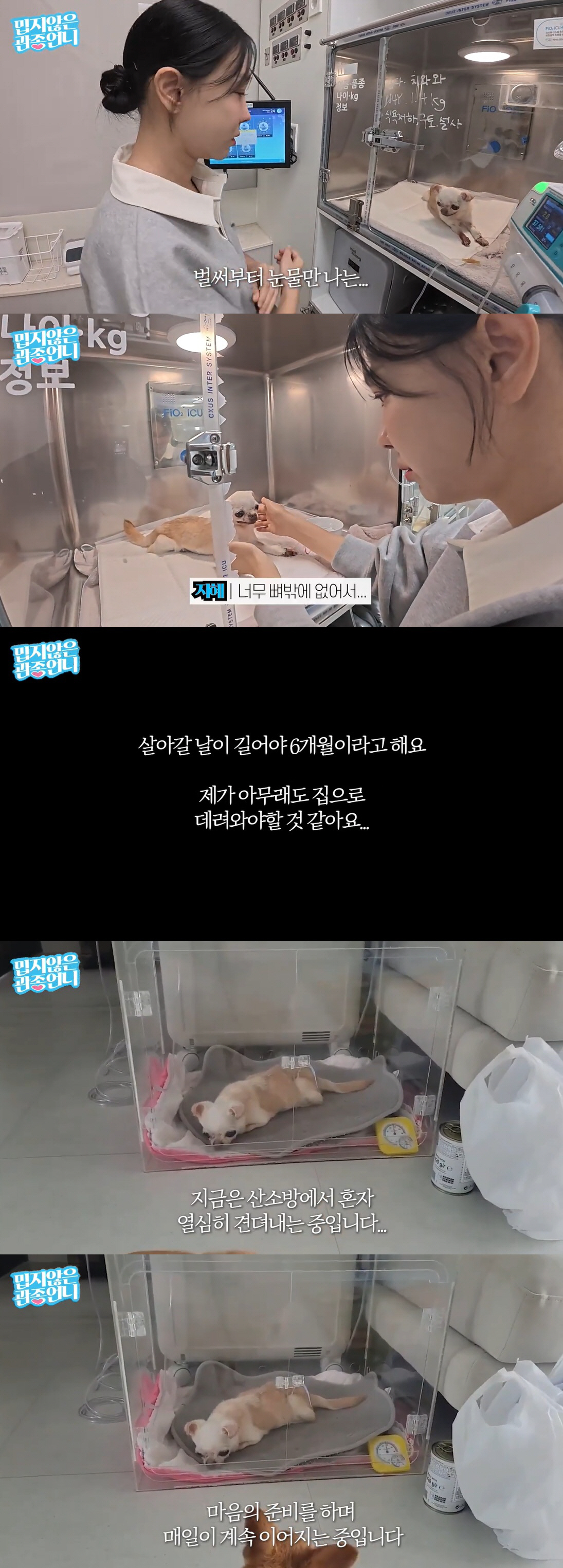이지혜, 비보에 오열했다 "6개월 시한부 선고받아..마음의 준비 중"