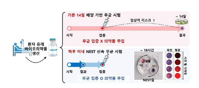 단 하루 만에 의약품 무균 여부 판별 신속 검사법 개발…기존 방법은 14…