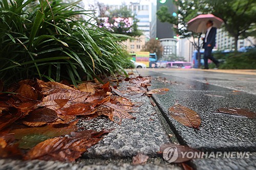 대전·세종·충남 오후부터 비…내일까지 10∼50㎜
