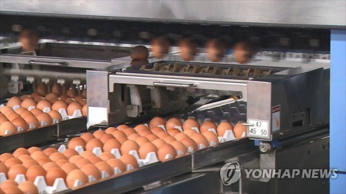 알 가공업 시설기준 완화…검란기·세란기 의무 제외