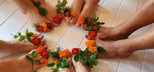 농진청 "사연 보내면 치유농업 무료 체험권 드려요"