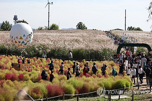 하늘공원서 18∼24일 미디어아트와 함께하는 '서울억새축제'