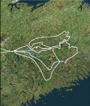 하늘에 '블루제이스'가 나타났다?…10년 만에 ALCS 진출, 10분 거리를 2시간 23분에 간 사연