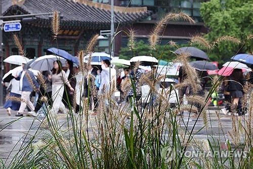 전국 흐리고 비…아침 시간당 20㎜ 내리는 곳도