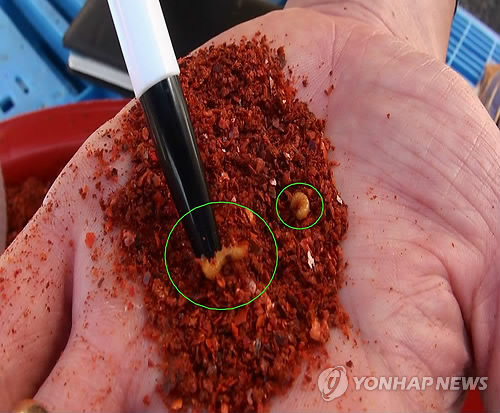 부산시 특사경, 김장철 성수식품 제조·판매업소 특별 단속