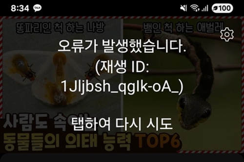 유튜브 접속 장애…모바일 등 일부 기기 재생 오류