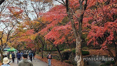내장산국립공원, 단풍철 불법·무질서 행위 집중단속