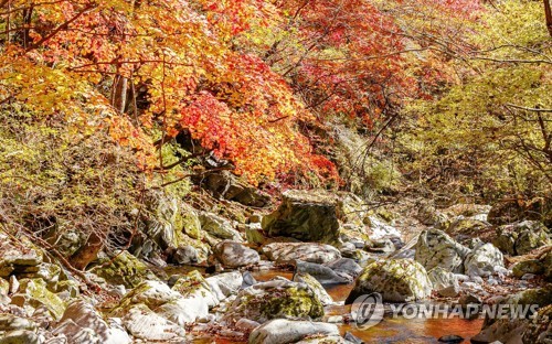 가을 정취 가득한 정선 항골 숨바우길서 18일 트레킹 대회