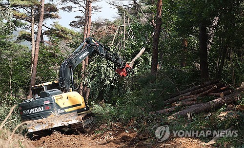 제주시, 동부지역 소나무재선충병 집중 방제