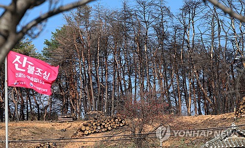 '대형산불 사례 다신 없도록'…한전, 전선 지중화 수요조사