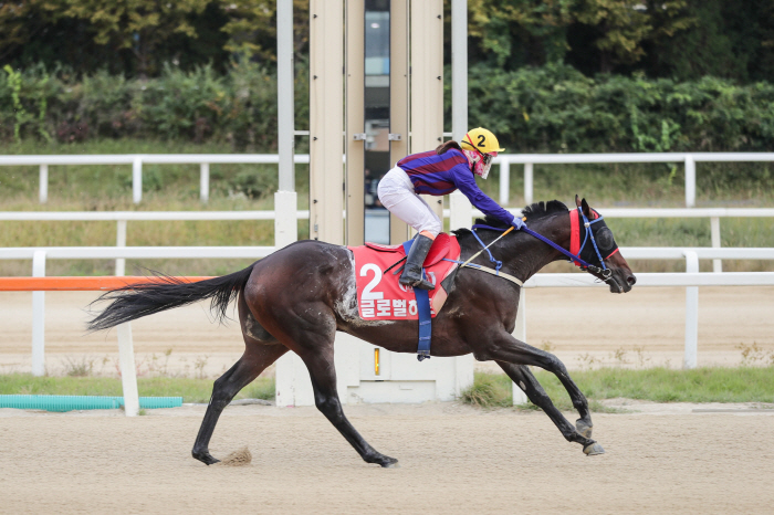 '국산馬 왕좌 가리자!' 제21회 대통령배 정상은 누구
