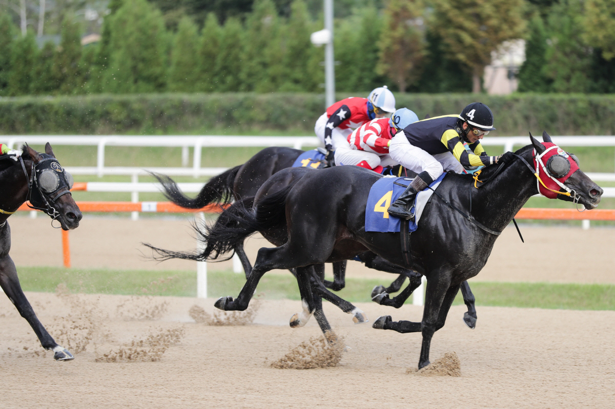 '국산馬 왕좌 가리자!' 제21회 대통령배 정상은 누구