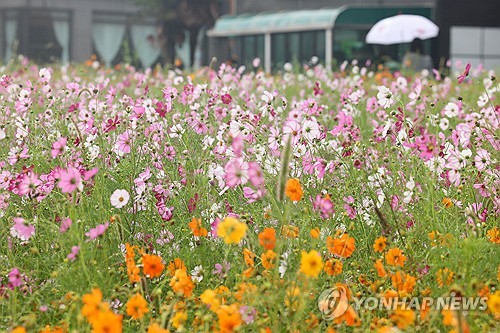 밤부터 전국에 또 비…낮 최고 26도
