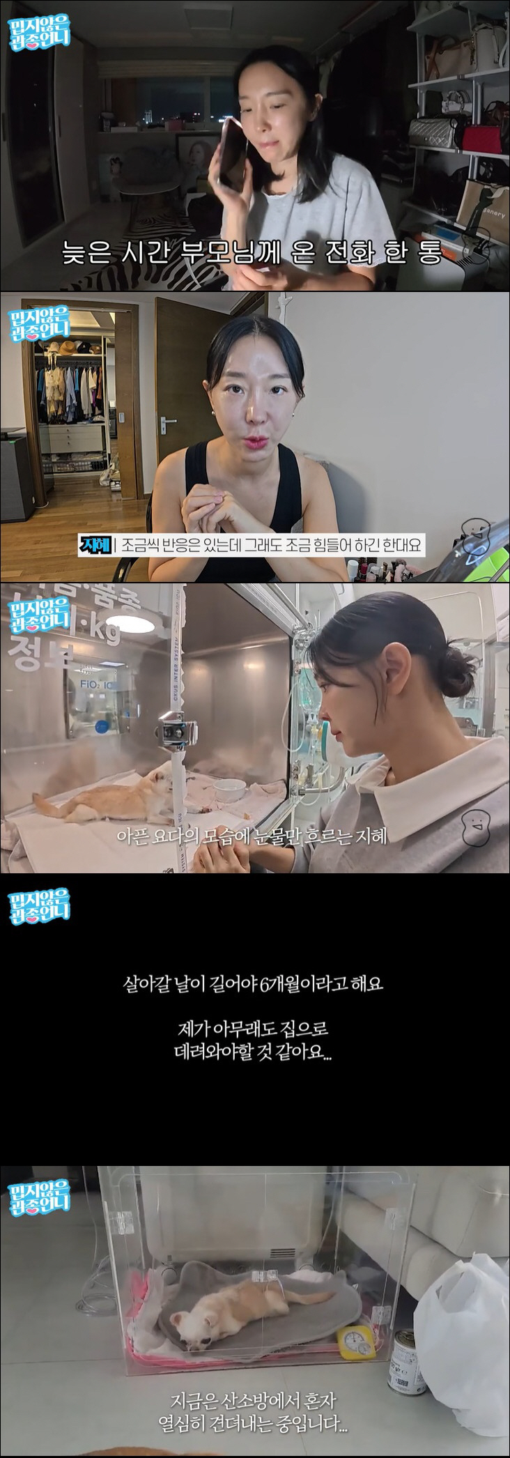 이지혜, 시한부였던 가족 떠나보냈다 "父도 오열, 하루만 기다려주지" […