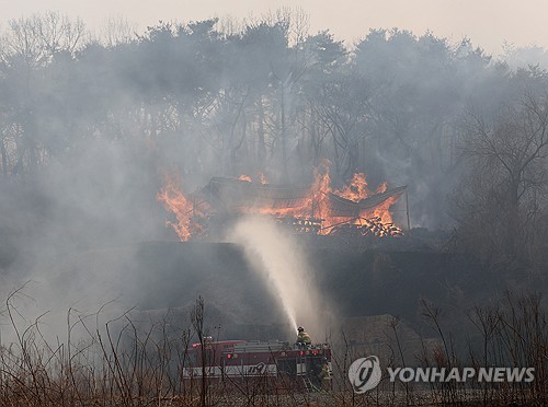 불쏘시개 될라…"솎아베기 한 나무 60% 이상 산에 방치"