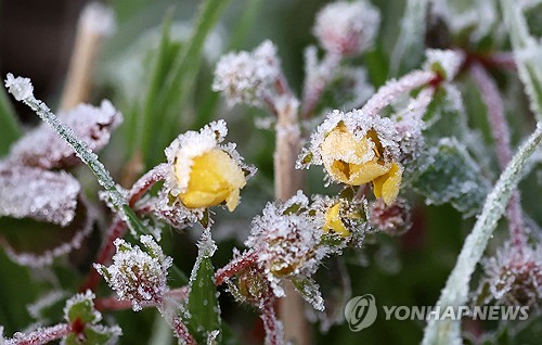 초겨울 추위 찾아온 강원도…높은 산지에는 첫눈 소식