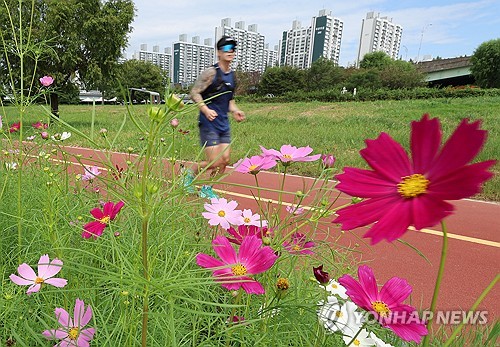 광주·전남 올가을 들어 기온 가장 낮아…화순 8도