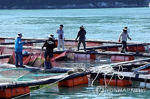 펄펄 끓은 바다…고수온특보 역대 최장에 6년만에 적조피해