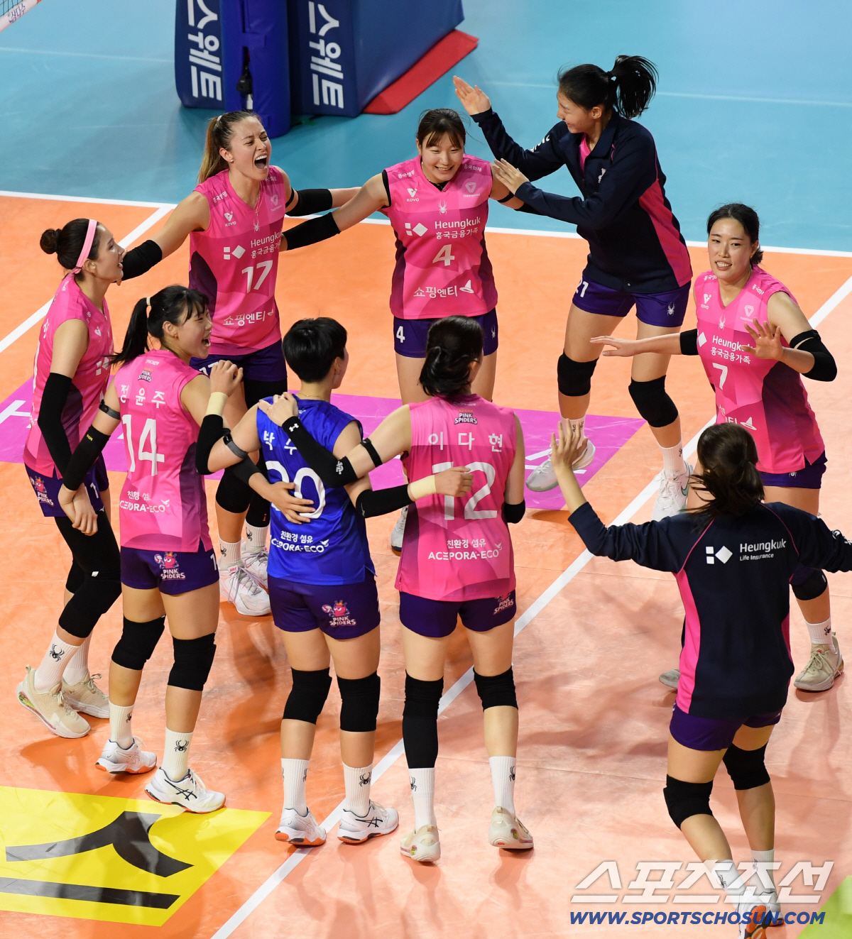 '김연경 있고, 없고' 평균관중 3000명 차이, 올해는 어떨까? "응원…