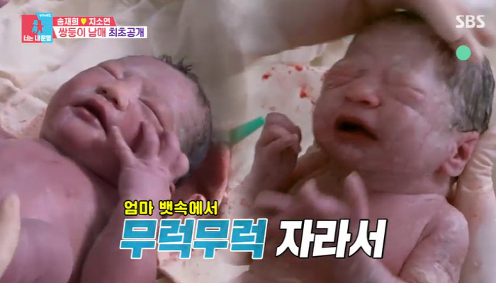 송재희♥지소연, '1% 확률' 뚫고 쌍둥이 출산 "이렇게 통통한 신생아 …