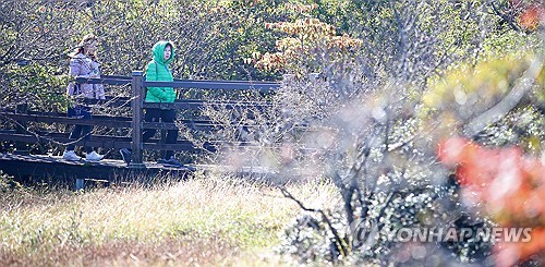 제주 흐리고 오전까지 곳곳 빗방울…낮 최고 19∼22도