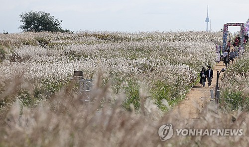 '가을은 축제의 계절'…대구 곳곳서 주민 참여 행사