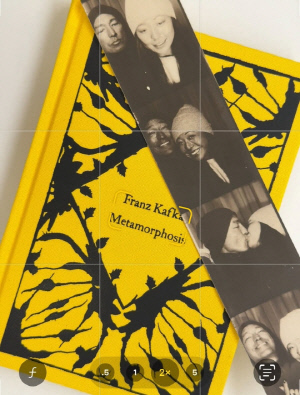 다니엘 헤니, ♥아내와 여행 중 진한 키스..로맨틱한 신혼 일상