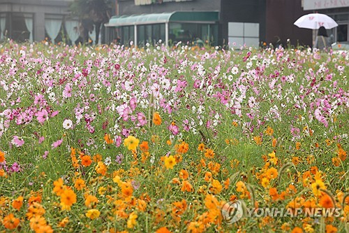 제주, 대체로 흐리고 곳에 따라 빗방울