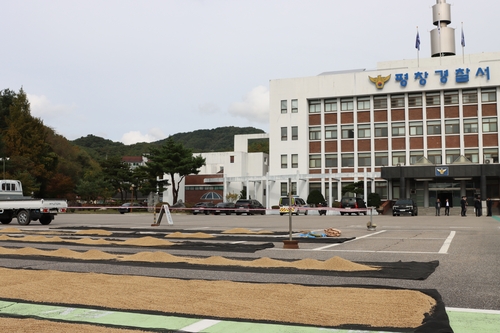 절도사건 예방…농산물 건조장으로 변신한 평창경찰서 주차장