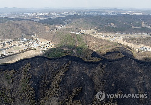 소규모 산불도 대형화 우려 시기에는 산림청장이 초기부터 지휘