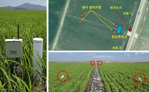 농진청, 토양 양분 실시간 측정 센서 개발…스마트농업 가속화