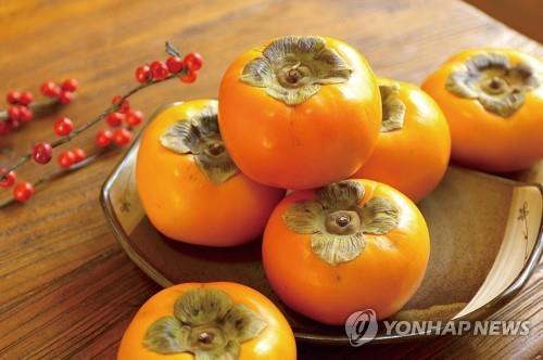 '김해진영단감축제' 31일 개막…품평회·전시 체험 등 '풍성'