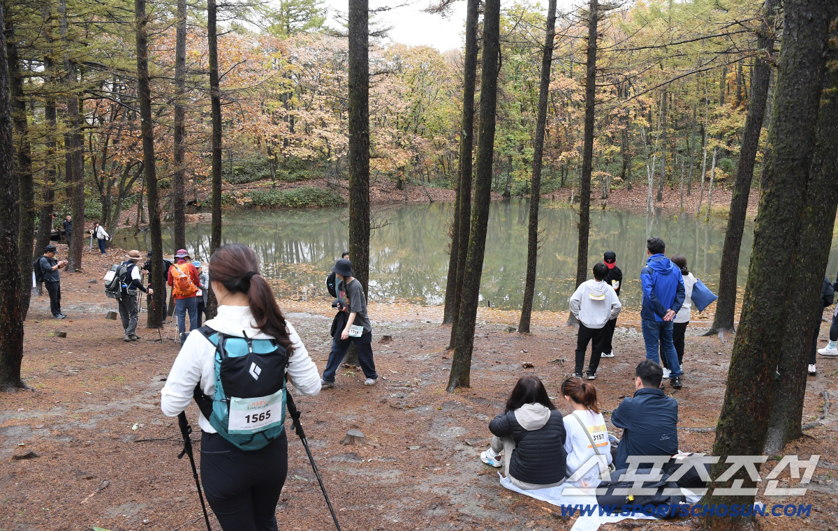 제 17회 하이원 하늘숲길 트레킹 페스티벌 성료, 하늘 변심은 무죄, '…