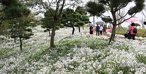서리 내린다는 상강…온화한 날씨 속 곳곳 가을비