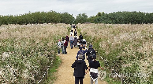 계절 앞질러 찾아온 추위 물러나…오늘 낮 최고 15∼23도