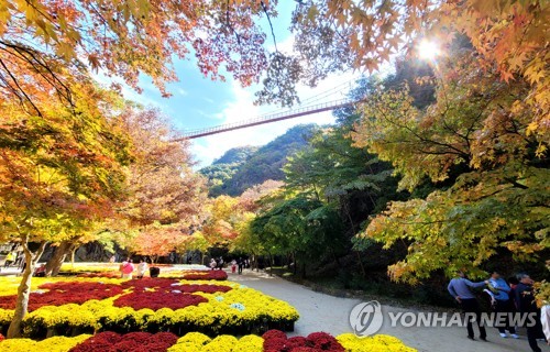 '오메, 단풍드네'…순창 강천산 11월 10∼15일 절정