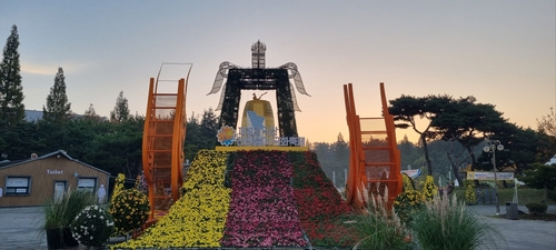 활짝 핀 익산 천만송이 국화축제, 24일 개막