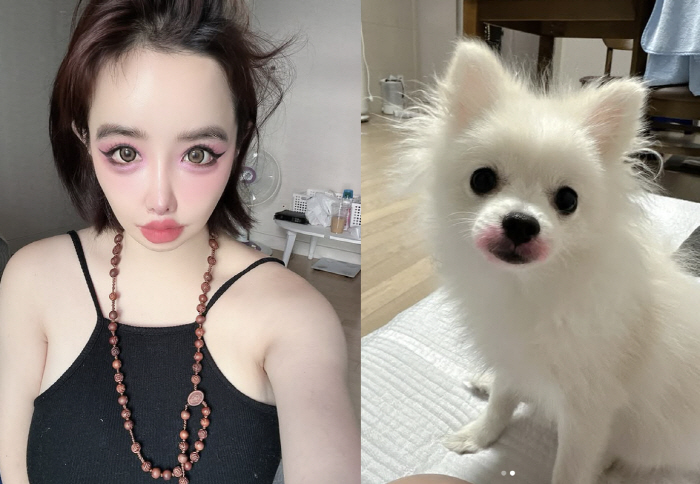 'YG 양현석 고소' 박봄 또 이상 행동.. 반려견에 빨간 립스틱 칠하고…