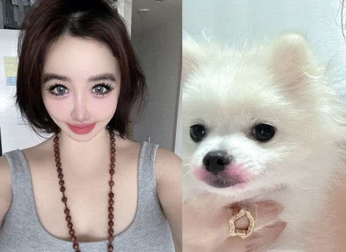 박봄, '양현석 고소' 2시간만 동물 학대 논란…반려견에 립스틱 떡칠[S…