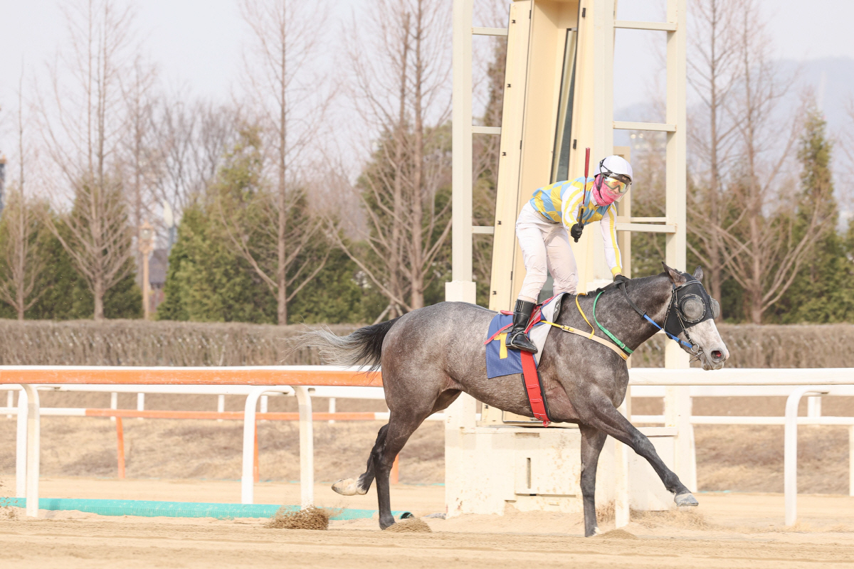 놓치면 후회할 장-단거리 경마 빅매치, 26일 부산에서 격돌